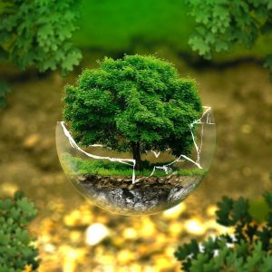 Comment participer à l&rsquo;écologie en tant que salarié ?