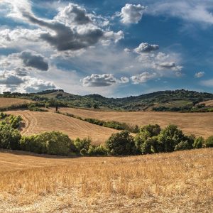 Trouver plus facilement du personnel agricole, c’est possible